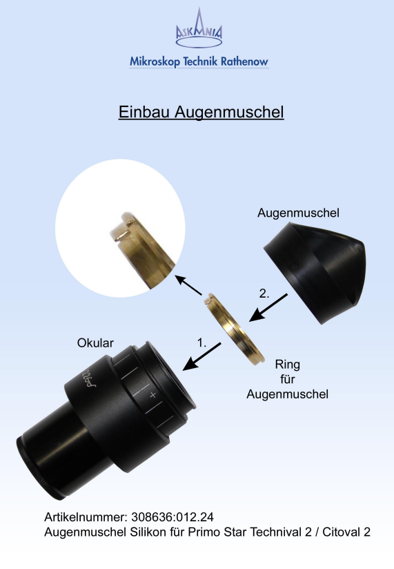 Augenmuschel Einbau