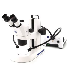 Stereomicroscope Stemi 305 trino Stand K